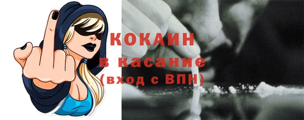 твердый Кодинск