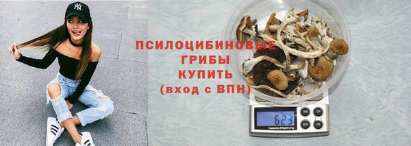 МДПВ Козловка