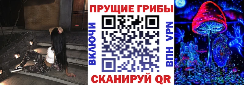 Купить закладки  Долинск  Галлюциногенные грибы MAGIC MUSHROOMS 